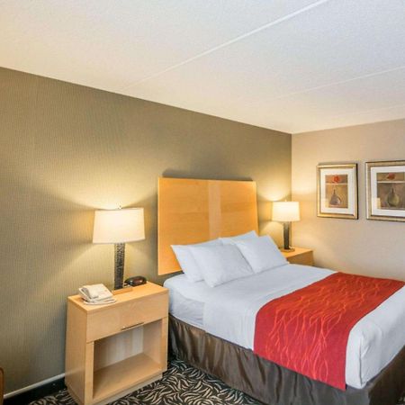 Comfort Inn - Nys Fairgrounds Syracuse Exterior foto