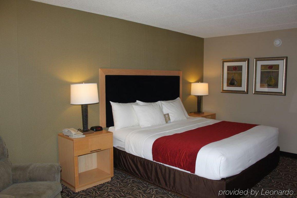 Comfort Inn - Nys Fairgrounds Syracuse Exterior foto